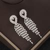 Exquisite Temperament Earrings Jewelry Diamond Fringed Women'S Earrings Light Luxury Earrings High-End Versatile Bridal Earrings