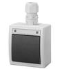 Surface-mounted Switch N/T, Single-pole, Stair IP65, Gray AQUANT 2K