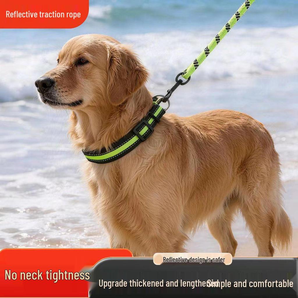 Langlebige Hundeleine für große, mittlere und kleine Rassen - Perfekt für Corgis, Collies, Retriever und Teddys