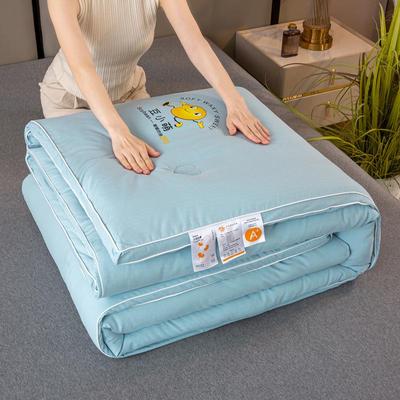 Extra Thick Soybean Fiber 3D Mother-and-Child Quilt: Warm, Two-in-One for Autumn & Winter, Single/Double Size