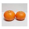 GuCra Small Mandarin Orange Fruit Lifelike Food Samples 8-Pack Models, Weighted,