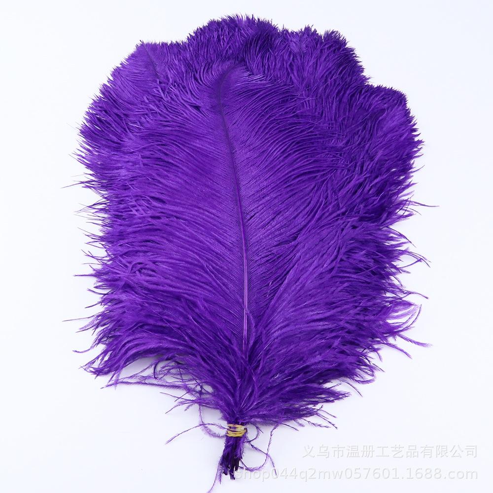 45-50Cm South African Ostrich Hair Modern Feather Lamp Wedding Stage Decoration High Quality Ostrich Hair