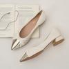 80152-3 Popular Pointed Single Shoes New Spring 2025 Thick Heel Versatile Women's Shoes Gentle Mary Jane Shoes