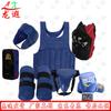 Dragon Xia Boxing & Sanda Protective Gear Set