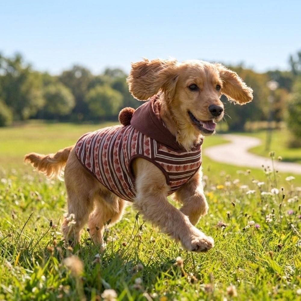 Warm Dog Four-Legs Clothes Heart Pattern Pet Jumpsuit Striped Dog Hoodie Outdoor Activity