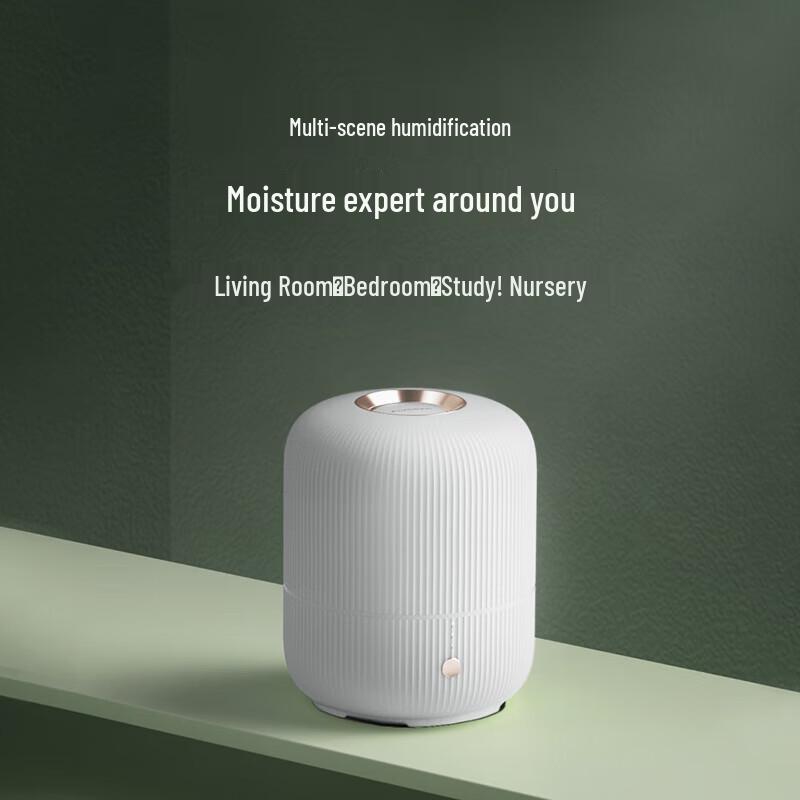 FLYCO 2L Air Humidifier CN plug (adapter included)