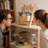 Rede Hamster Berço de Madeira Brinquedo para Animais Pequenos Baloiço de Madeira e Cama de Balanço Brinquedo Rede Hamster para Gerbil Rato Furão Anão