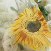 Breathable Sunflower Printing Curtain for Living Room Balcony Decoration