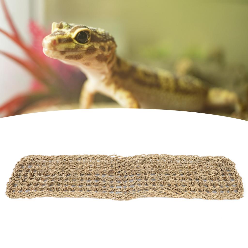 Reptiles Pet Hammock Washable Lizard Pad Playing Resting with Suction Cup for Glass Tank