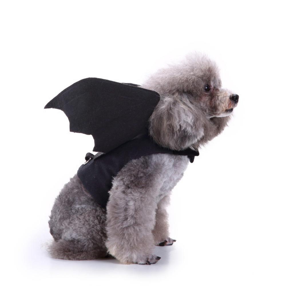 Dog Clothes, Turtle Costumes, Funny Costumes, Halloween Costumes, Pet Costumes, Bat Costumes, Cat Costumes, and Puppy Costumes.