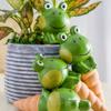 4pcs Frog Watering Globes Self Watering System Spikes Automatic Waterer Irrigation Drippers for Pots Plant Reservoir