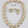 Vintage Turquoise Artificial Pearl Inlay Jewelry Set Necklace Earrings Elegant Statement Accessories for Women