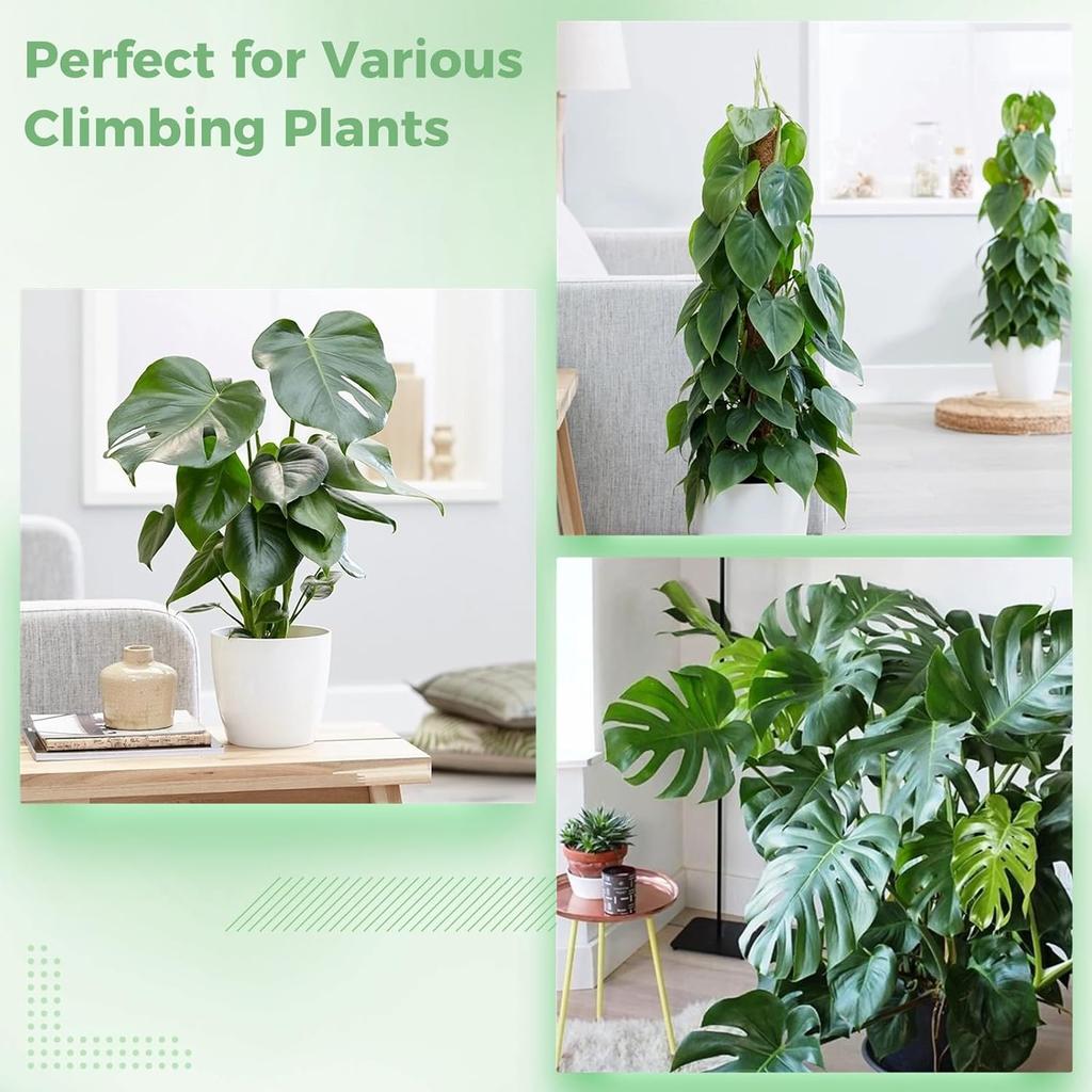 4 Pcs Plastic Moss Poles, 24″ Clear Sphagnum Moss Sticks for Indoor Climbing Plants, Stackable Hollow Plant Supports with 10ft Ties, Plant Moss