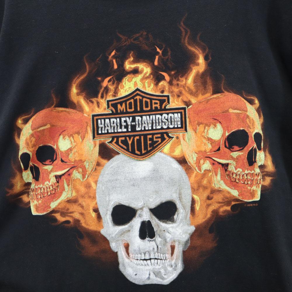 HARLEY DAVIDSON 00s Skull Long sleeve T-shirt M black Ron T Men's Used