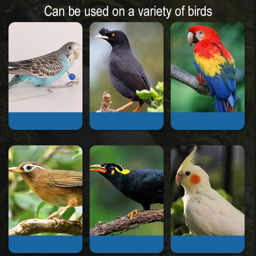 Water Dispensers for Bird Cages Bird Cups Bottles Sparrows Parrots Budgies Cockatiels and Lovebirds Feeder and Waterer