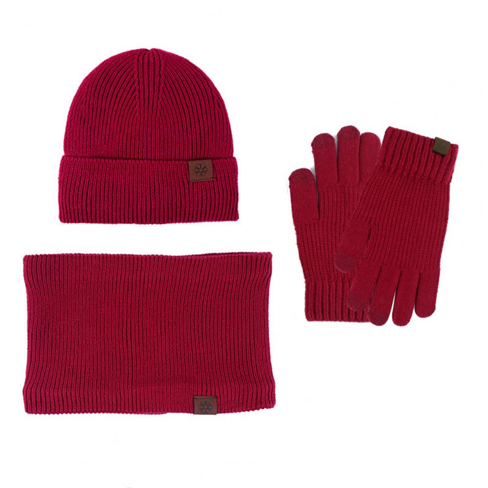 3 Pcs/Set Women Winter Hat Scarf Gloves Set Thick Plush Knitted Warm Cap Gloves Elastic Ear Windproof Wi