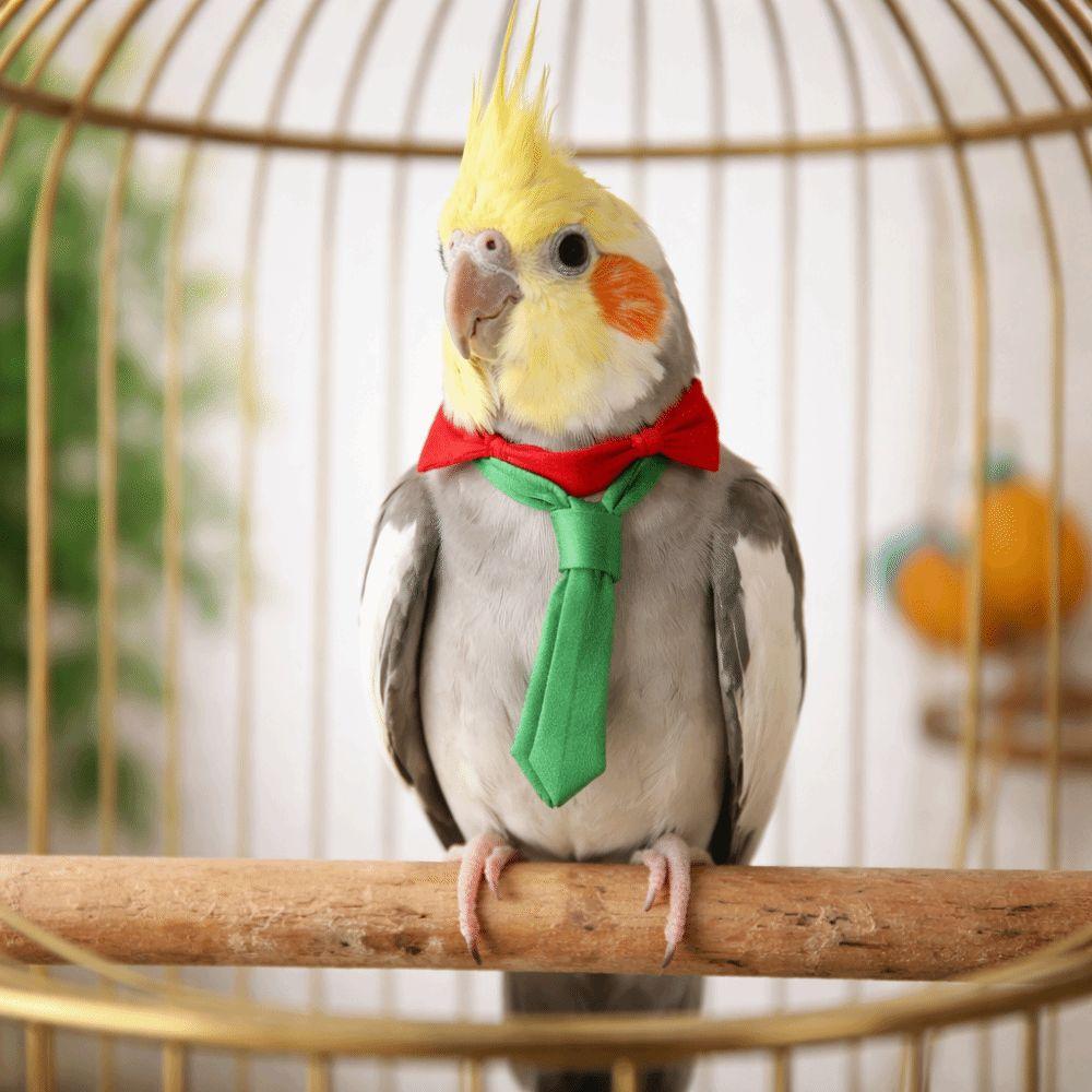 Lightweight Parrot Necktie Adjustable Pet Bird Tie Little Bird Costume  Pet Decoration
