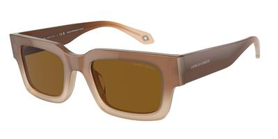 Brillen en accessoires – Zonnebrillen