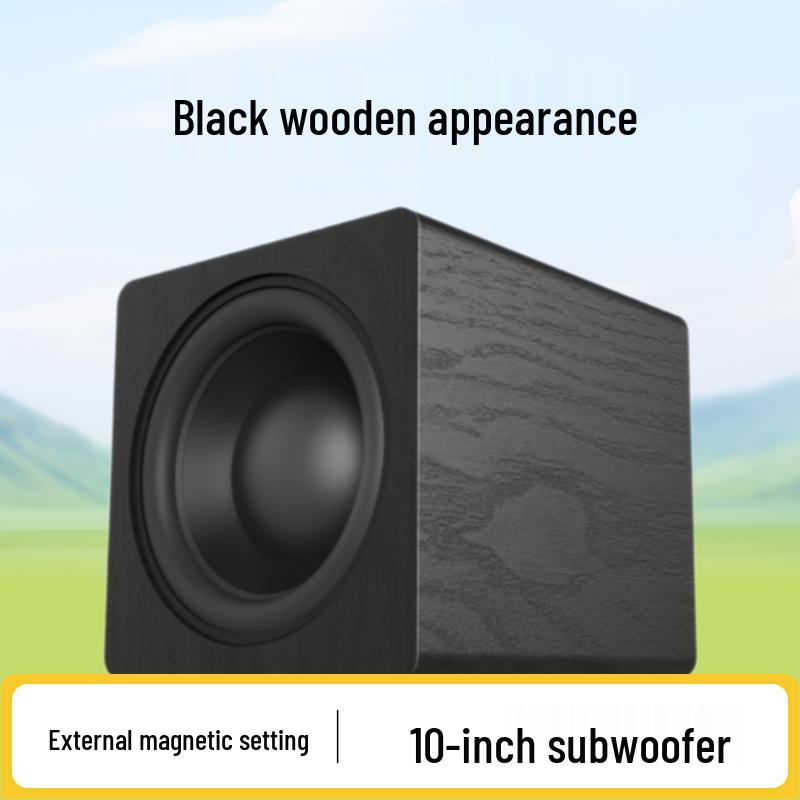 Tianlai 10-inch Active Subwoofer for Home Theater & KTV Audio