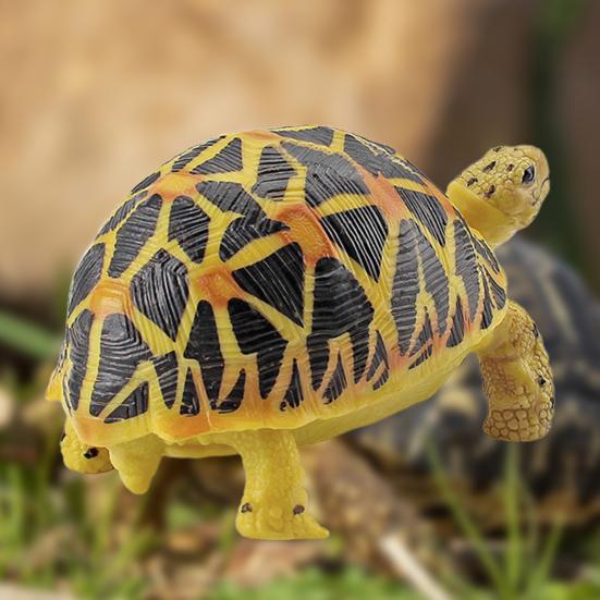 Turtle Cognitive Toys Adorable Delicate Plastic Galapagos Tortoise Decoration Model for Kids