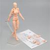 TikTrunk Action Figure Drawing Doll Male and Female Set Movable Illustration Creation Manga Muscular PVC Made 1/12 (Skin Color)