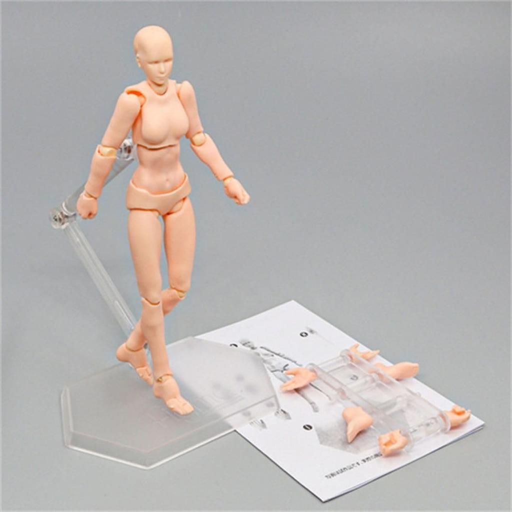 TikTrunk Action Figure Drawing Doll Male and Female Set Movable Illustration Creation Manga Muscular PVC Made 1/12 (Skin Color)