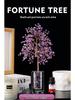 Natural Crystal Money Tree of Life Feng Shui Ornament - Ideal Housewarming Gift