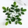 Artificial Plants Green Foliage Home Vase Table Wreath Bridal Bouquet Accessories Wedding Photography Props DIY Cheap Decoration
