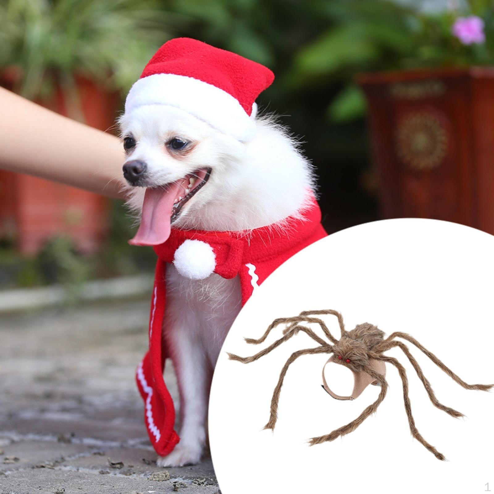 

Костюм для питомца на Хэллоуин Одежда Наряды Праздничная одежда Косплей Собаки Кошки Ужасы Brown