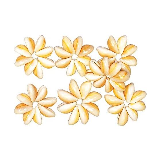 Tokyodo Dried Flower Takara Shell Ring Approx. L3.0cm 8 pieces FD005608-zzz