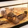 Plastik Schildkröten Sonnenplattform Höhe Verstellbar Schildkröten Kletterhang Kletterleiter Aquarium