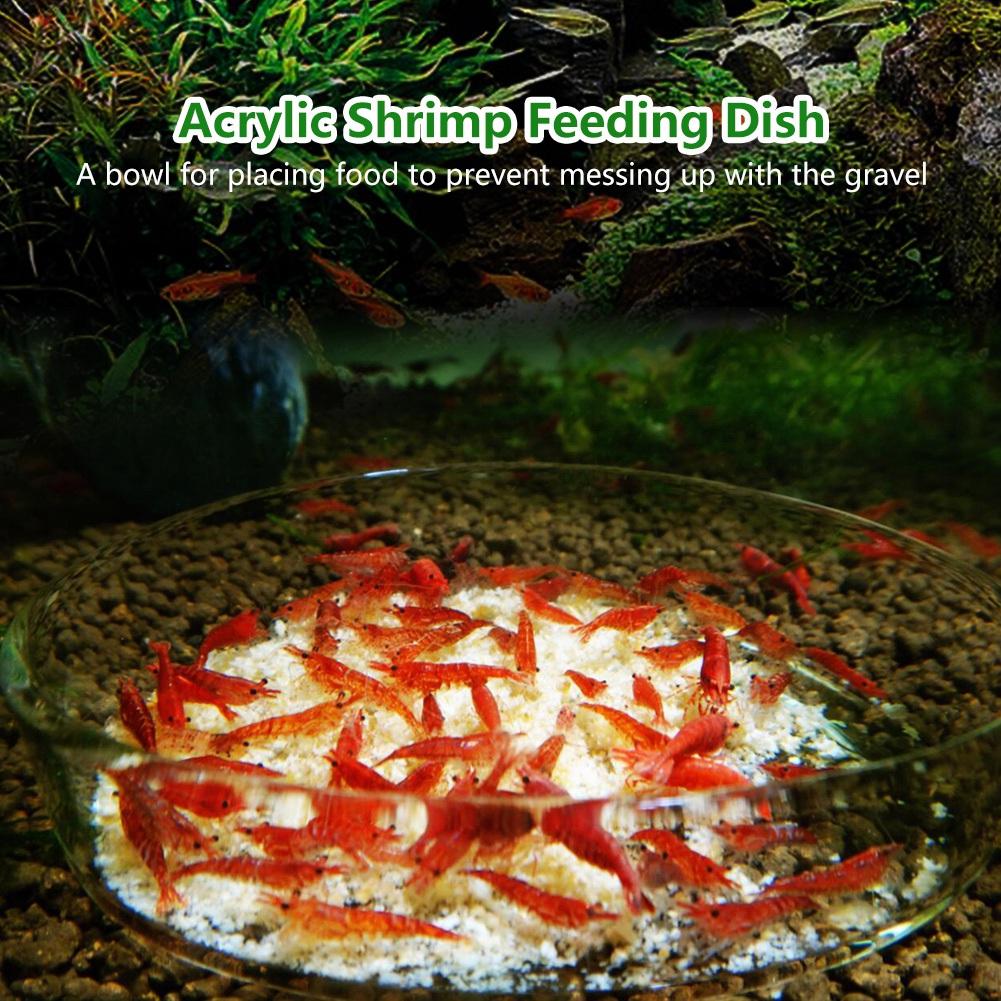Acrylic Aquarium Shrimp Feeding Dish Bowl Tray Water Food Dish Feeder Bowl