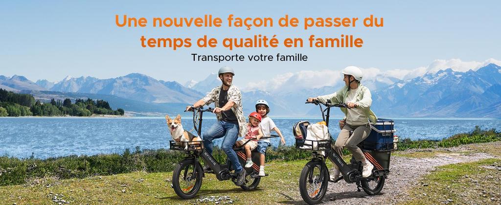 ENGWE Elektrofahrrad für Erwachsene, 250W 100Nm Mittelmotor, unterstützt App-Standortverfolgung, 48V 19,2AH/38,4AH, Reichweite bis zu 180/350 km, LE20 Gepäckbox.