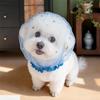 Breathable Pet Mesh Headgear for Dogs Portable Anti-Stray and Eating Prevention