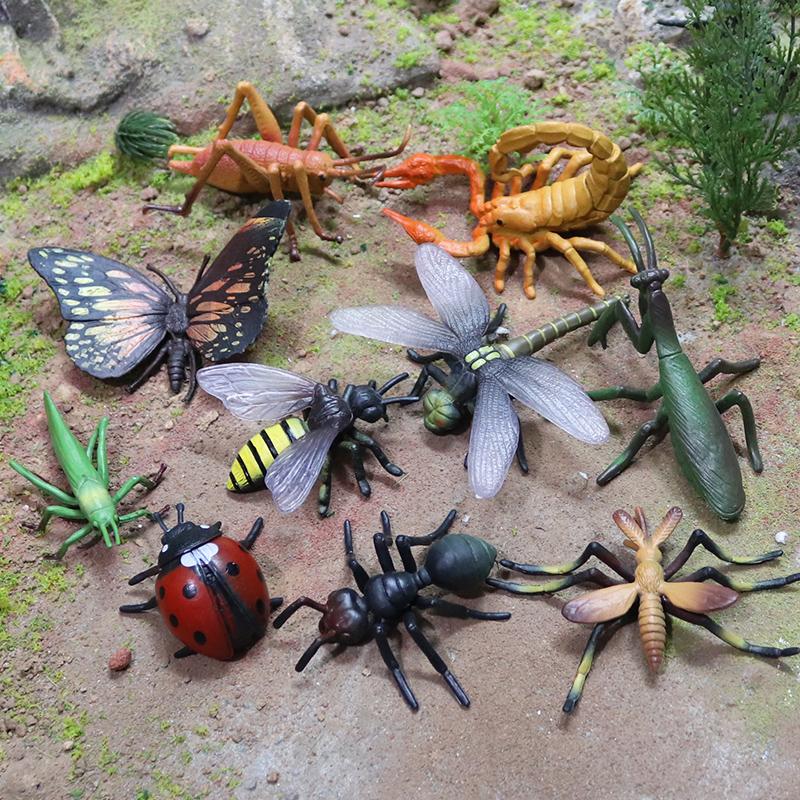 Oenux Wild Insect Animals Model Set Butterfly Scorpion Mantis Cicada Lizard Action Figures Miniature Kid Education Halloween Toy