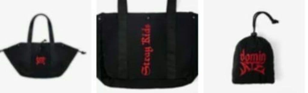 [USED] Next-day shipping Straykids Dominate Portable Bag