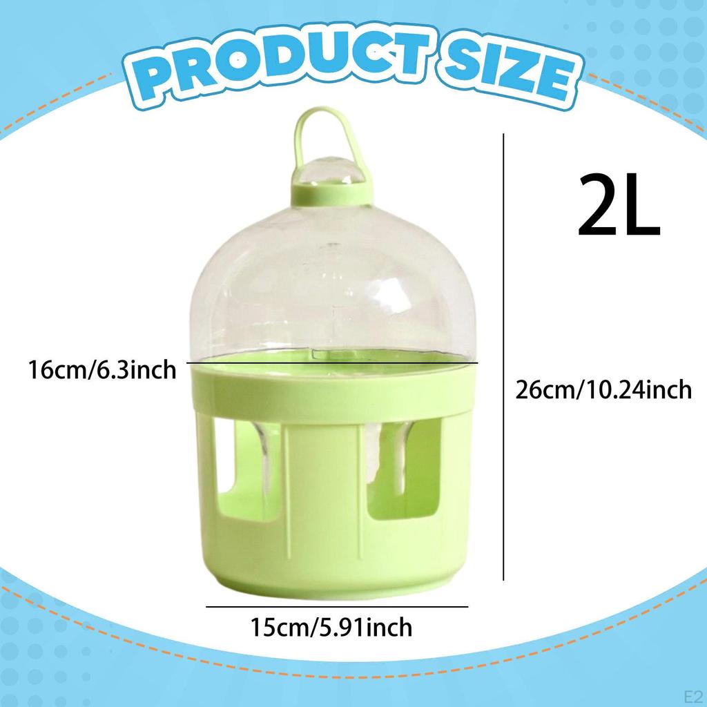 Taubentränke Vogeltränke Große Kapazität Automatisch Haustier Topf Behälter Flasche