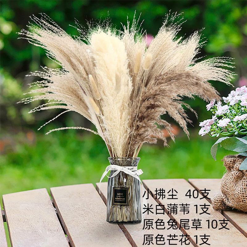 Combination Dried Bouquet, Small Reed Hare Tail Grass Whisk Dust Nordic Style Home Decoration Flower Arrangement Mix And Match Dried Flowers