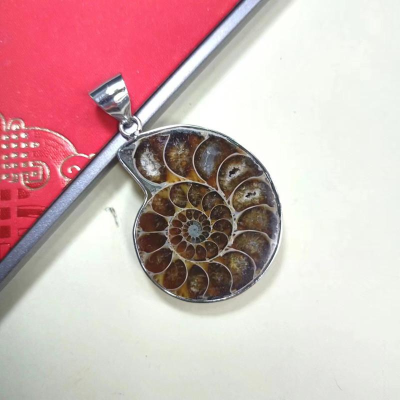 Shell Pendant With Polished Shell Beads For Style Jewelry