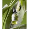 Rendejavousbeauty Jeju Matcha Ampoule 30ml