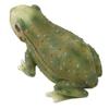 Frog Statue Hand Painted Lifelike Lovely Resin Frog Figure Garden Decor for Backyard Patio Garden