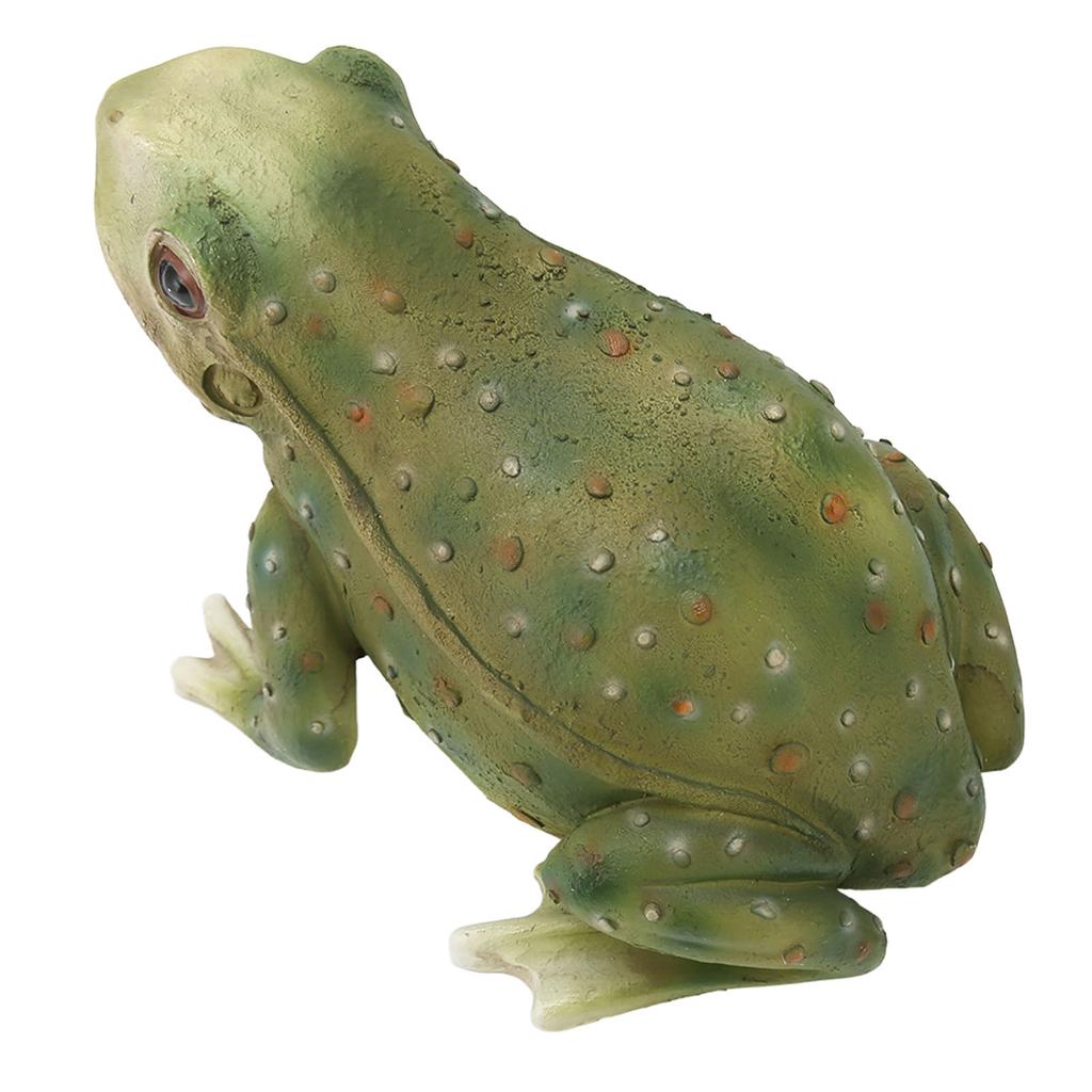 Frog Statue Hand Painted Lifelike Lovely Resin Frog Figure Garden Decor for Backyard Patio Garden