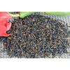 2023 New Top Grade Paulownia Wuyishan Gold Junmei Jinjunmei Black Tea 250g