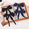 2pcs Elegant Double Layer Ribbon Bowknot Hair Clip for Girl Boutique Headwear Hairgripes Long Tassel Ponytail Hair Accessories