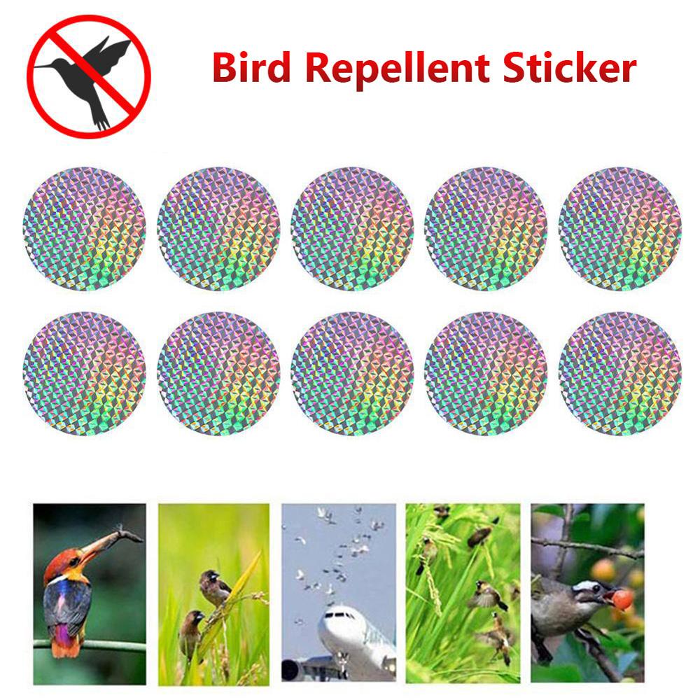 Outdoor Anti Bird Pigeon Bird Scare Sticker Bird Repellent Discs Deterrent Reflector Pest Control