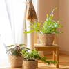 Haiabei 4 Stuks Riet Geweven Plantenmand Midden Premium Zeegras Plantenmand Met Plastic Bekleding Natuurlijk Stijlvol Plantenmanden