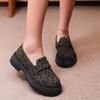 Internet celebrity leopard print single shoes women's shoes spring 2025 new versatile platform heightening retro small leather shoes loafers
