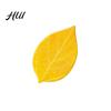 Creative Memo Pads Leaf-Shaped Sticky Notepads Removable Paper Sticker Durable Anti-Forgetting Reminder Note for Home Wall Photo DIY Decoration