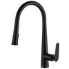 Nalda Black Freestanding Kitchen Sink Faucet Pull-Out Spout