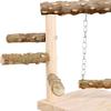 Bird Activity Center with Perch and Swing for Small Parrots